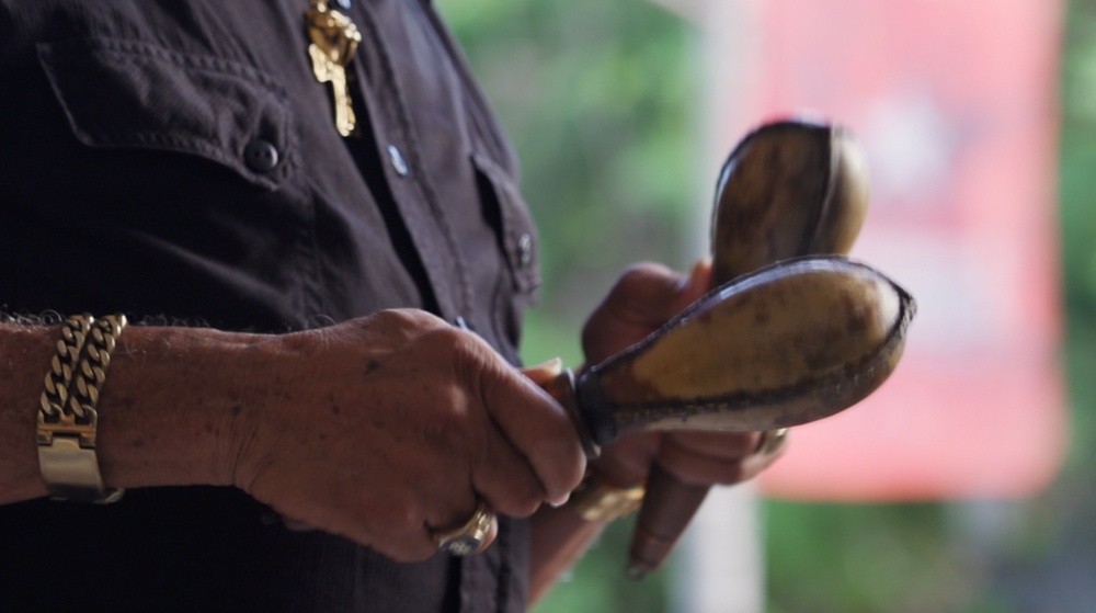 A musician playing maracas